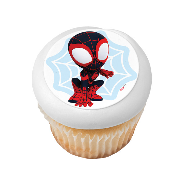 MARVEL Spidey and His Amazing Friends Spin PhotoCake® Edible Image®