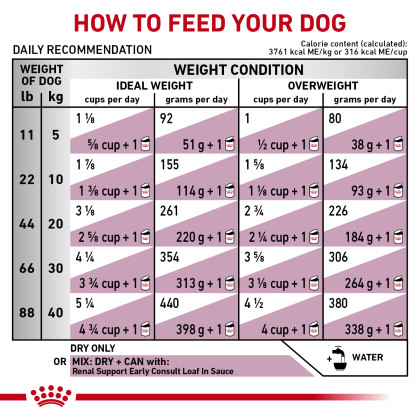 Canine Renal Support Early Consult Dry Dog Food