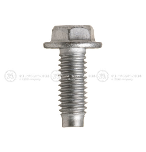 LOWER HINGE SCREW