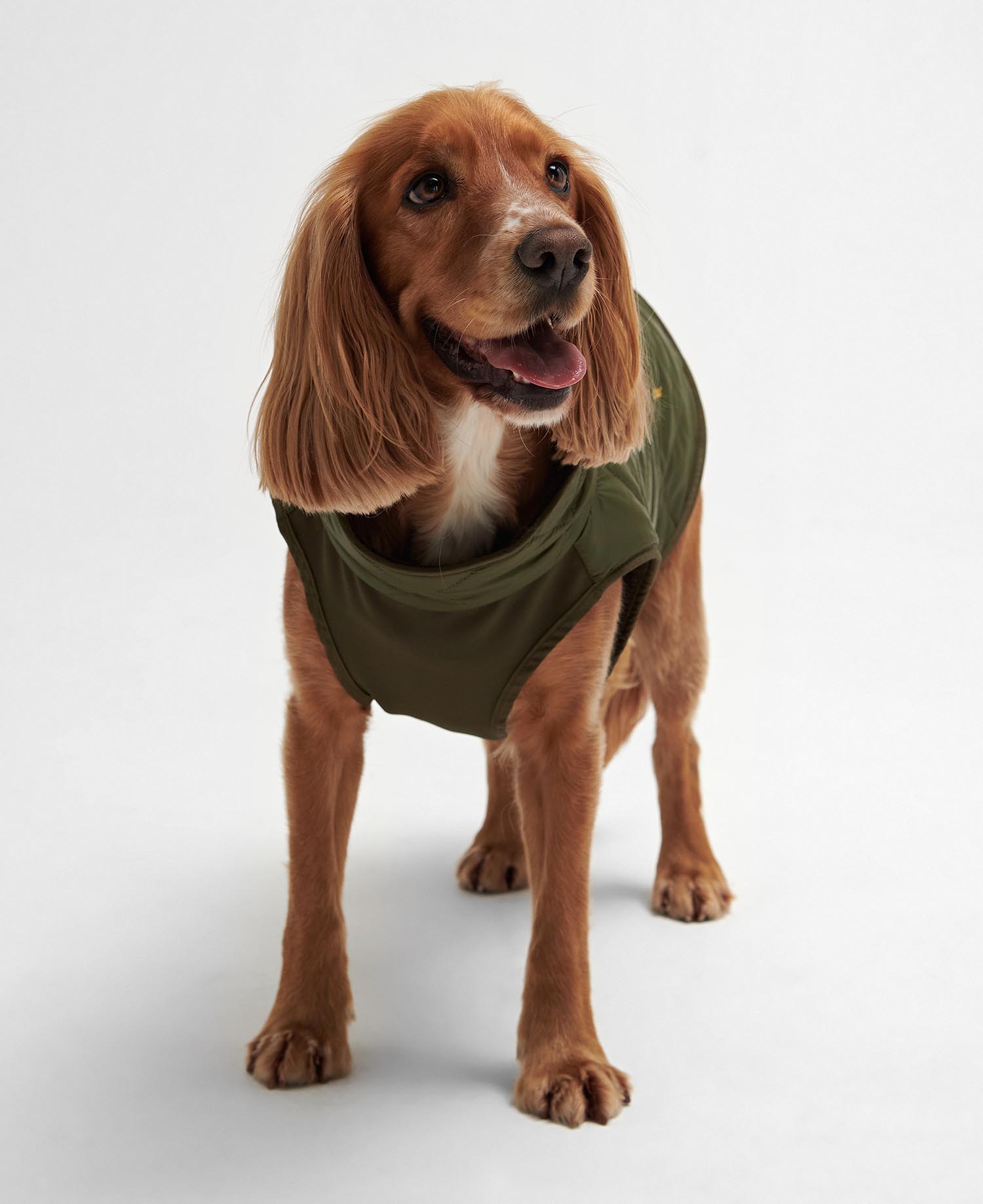 Reversible Quilted Dog Coat image number 3