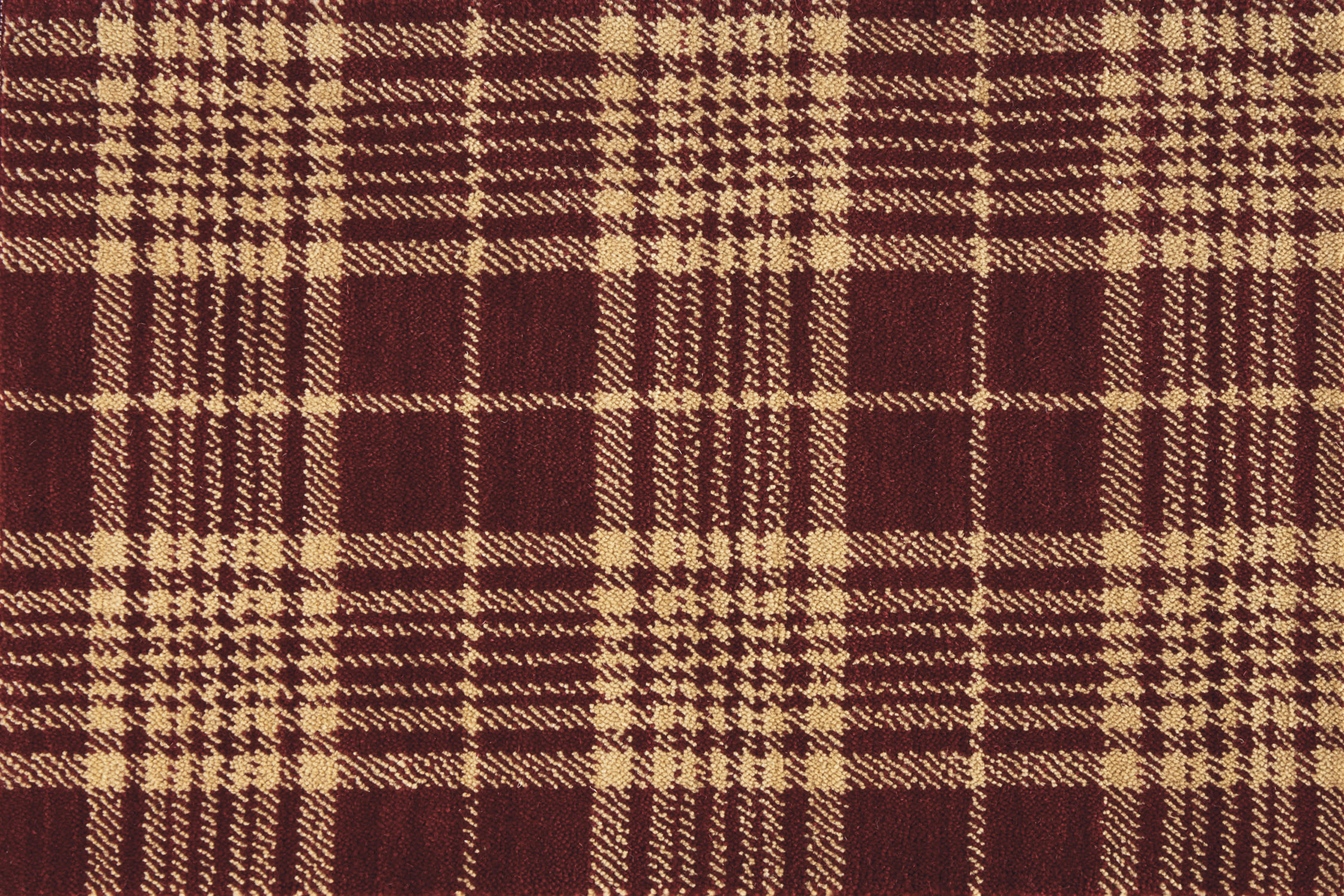 color-rug1