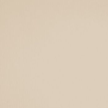 Beige textured wall covering centered in frame, showing fine vertical striations and subtle color variation; fills the frame under soft, even lighting, suggesting a neutral interior surface.