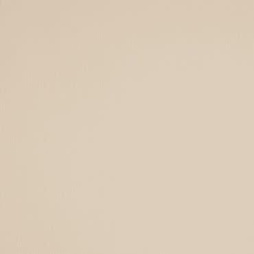 Beige textured wall covering centered in frame, showing fine vertical striations and subtle color variation; fills the frame under soft, even lighting, suggesting a neutral interior surface.