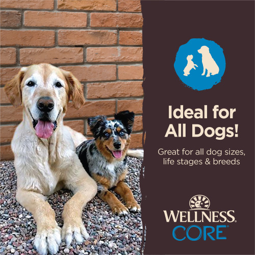 The benifts of Wellness CORE Power Packed Beef & Venison