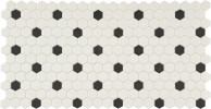 Foundation Black & White 1″ Hexagon Mosaic Matte