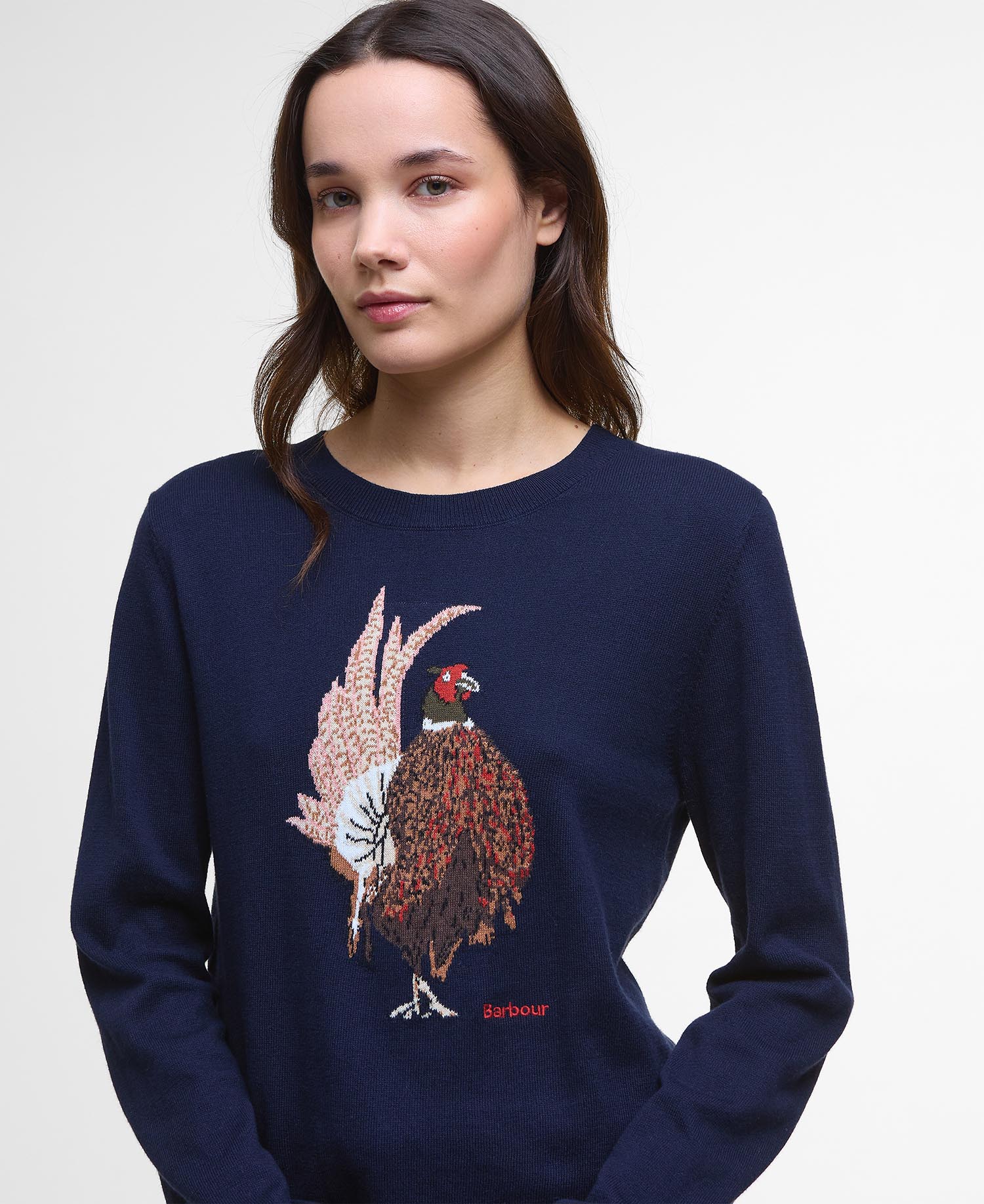 Maglione girocollo Homeswood image number 3
