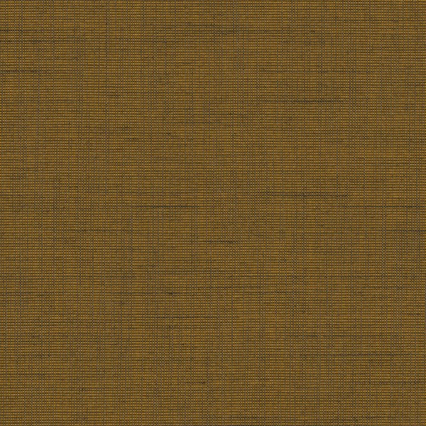 Be Be-67 Roman Blind