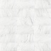 Bianco Venatino 3×6 Field Tile Honed