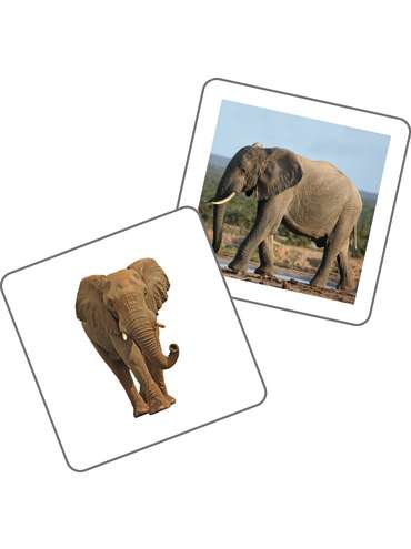 My Habitat Match-Up Memory Cards