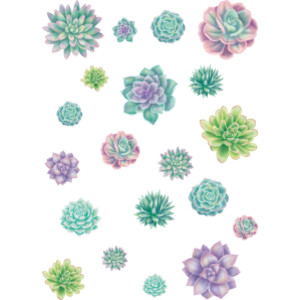 Rustic Bloom Succulents Accents - Assorted Sizes