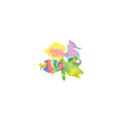 s--CJgKWpiQ--/sgpxqbs6317yq1xtpim0.jpg