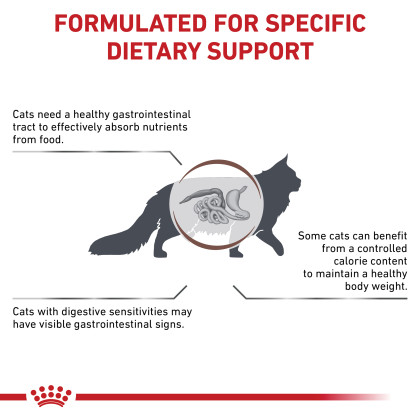 Gastrointestinal Moderate Calorie Dry Cat Food 