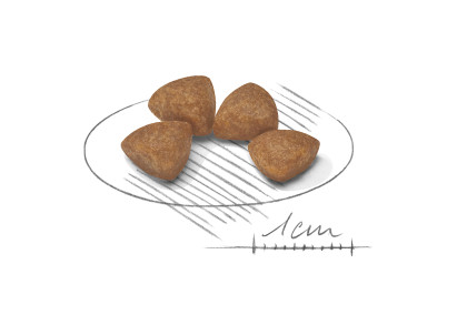 X-Small Puppy kibble