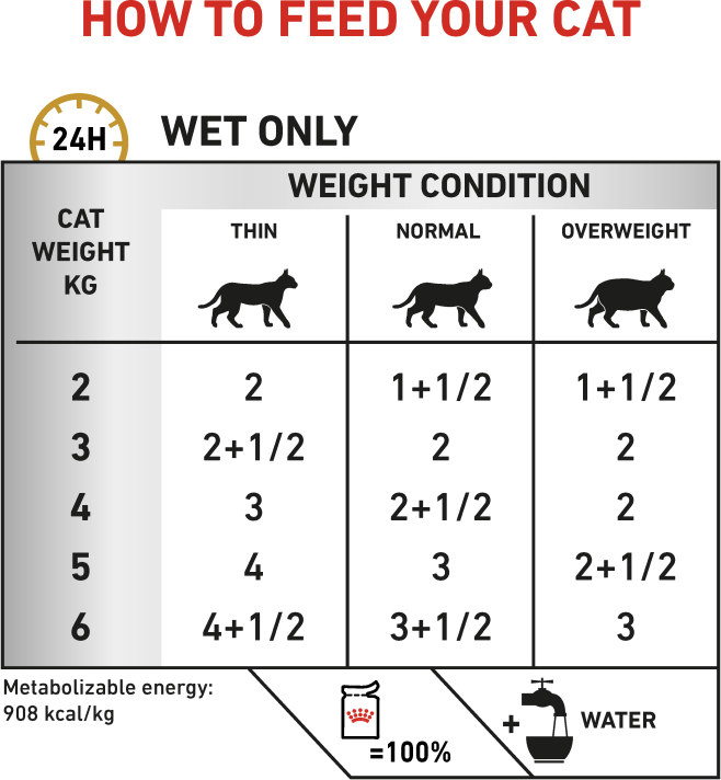 Feeding Guide