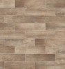 Cathedral Heights Divinity 6×36 Field Tile Matte Rectified