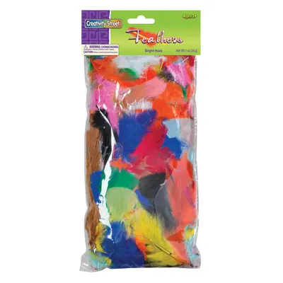 Creativity Street Turkey Plumage Feathers, Assorted Bright Hues, Assorted Sizes, 1 Oz.