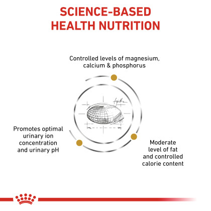 Urinary SO Moderate Calorie Dry Cat Food