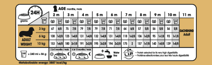 Dachshund Puppy feeding guide