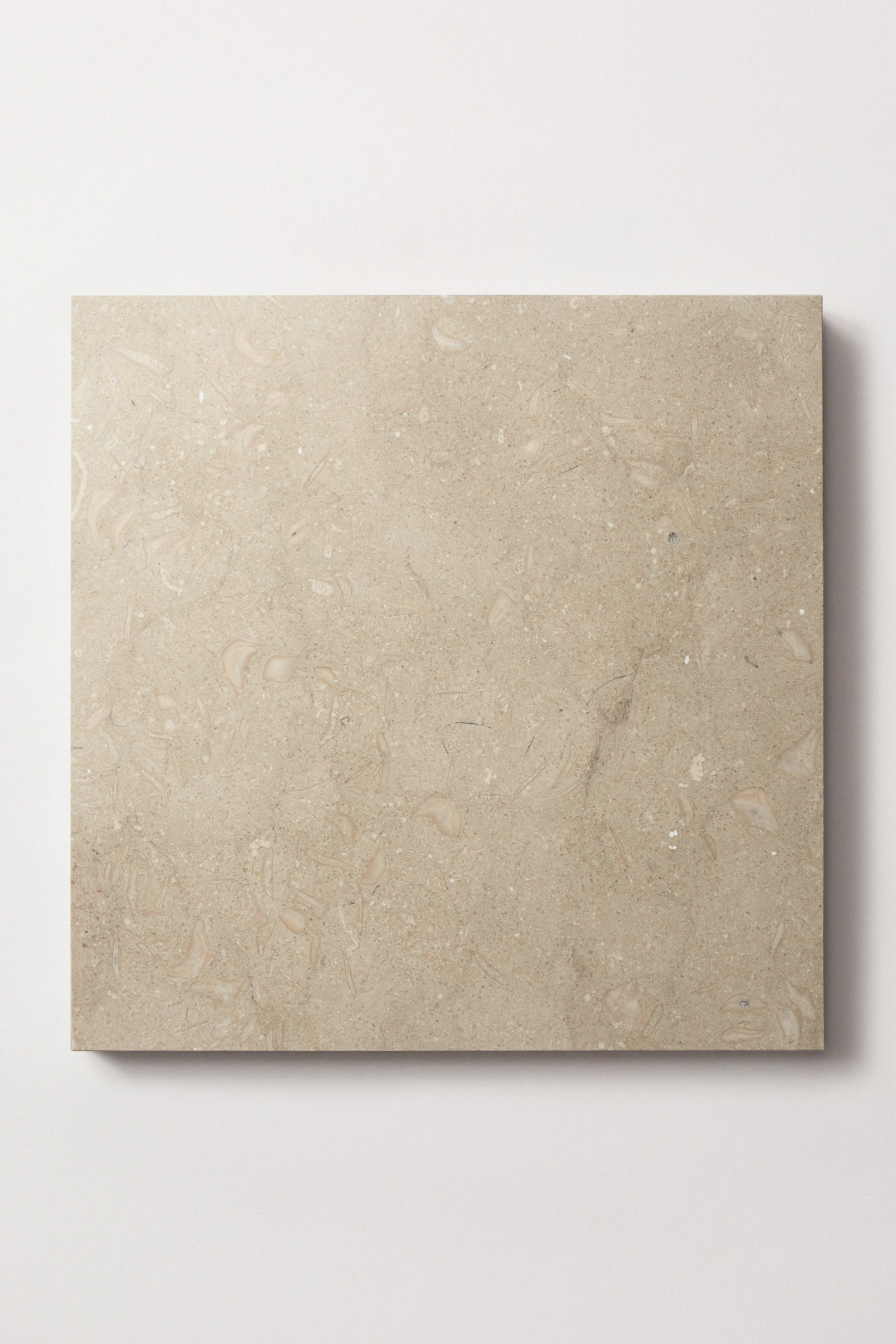 a square beige tile on a white surface.