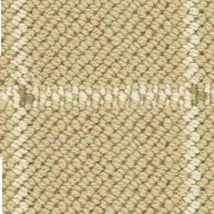 color-rug1