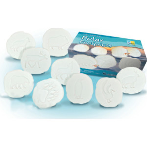 Let's Investigate Polar Footprints, Set of 8