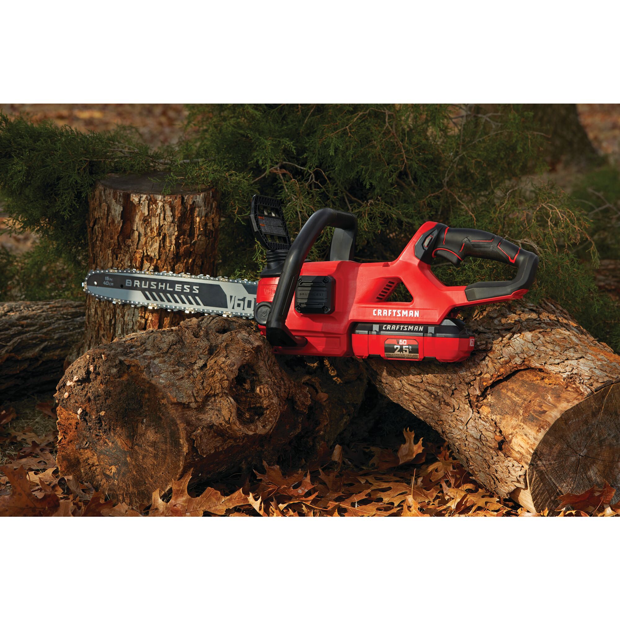 Volt 60 cordless 16 inch brushless chainsaw kit 2.5 Amp hour placed on wooden logs.