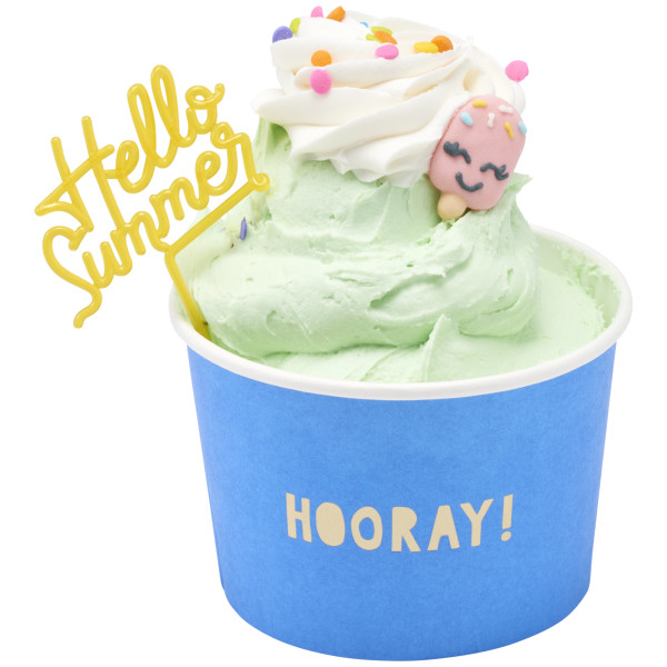 Summer Sayings DecoPics®