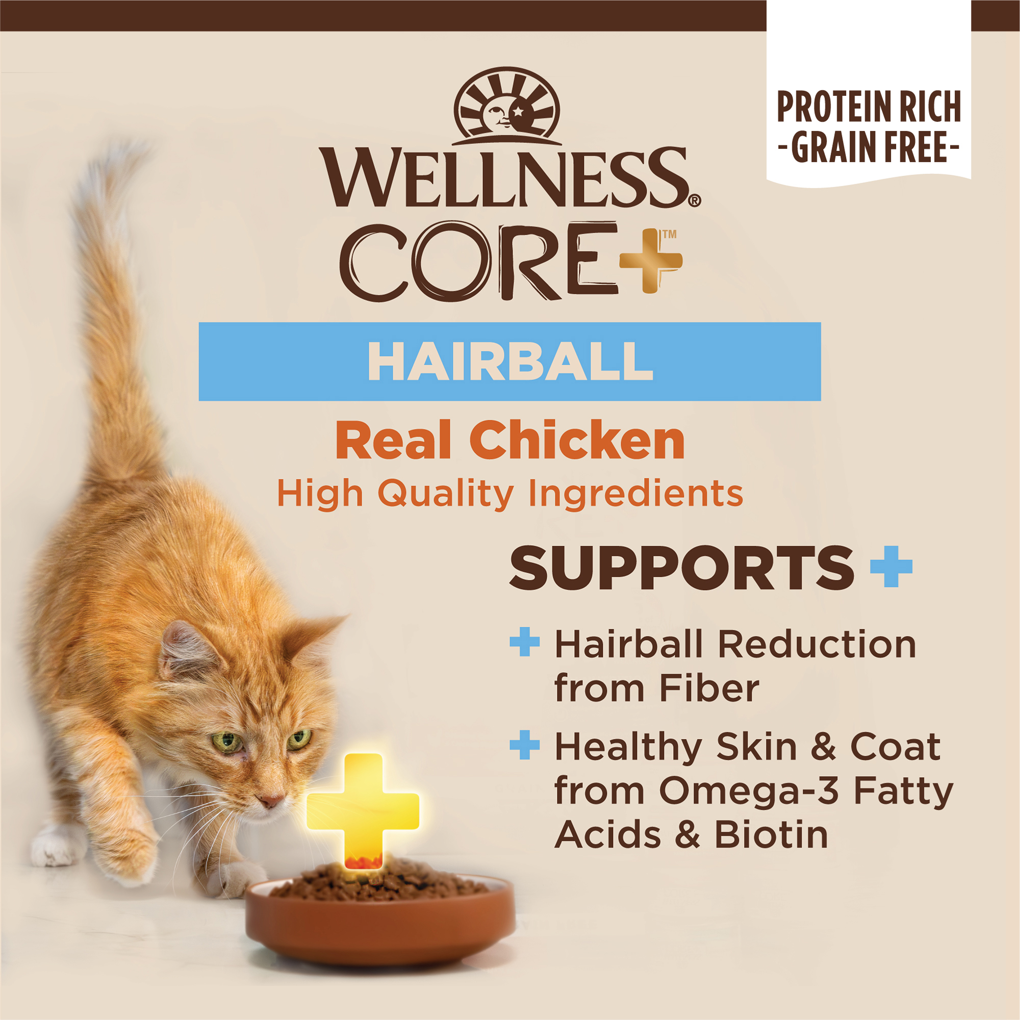 Wellness CORE+ Hairball Chicken & Chicken Meal
