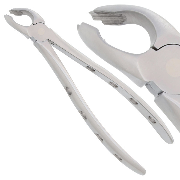 Nordent Atraumatic Forcep #151 Lower Universal, Notched