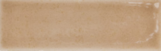 Skin Biscuit 2×5 Field Tile Glossy