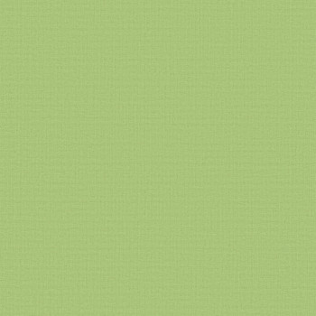 Acacia Blackout Green Roller Blind