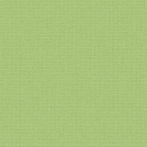 Acacia Blackout Green Roller Blind