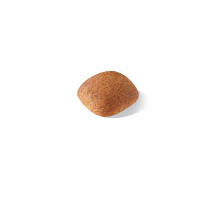 Golden Retriever Adult kibble