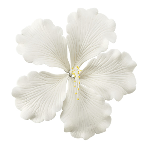 White Hibiscus Gum Paste Flowers
