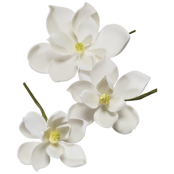 Magnolia Assortment Gum Paste Flowers