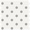 Studio Concrete 1″ Hexagon with Insert Mosaic Matte