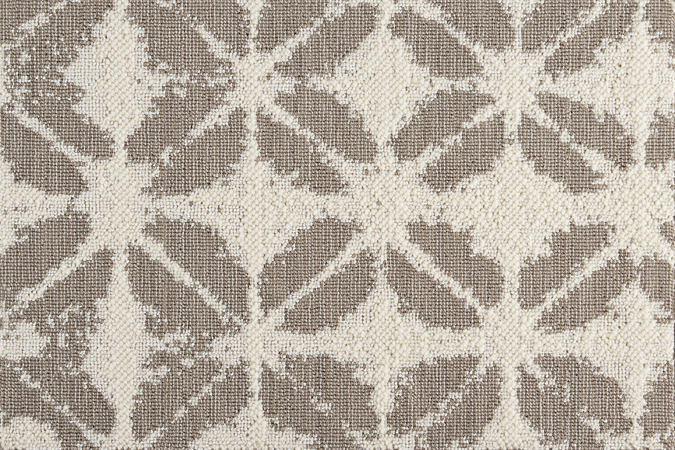 color-rug1
