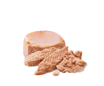 Starter Mother & Babydog kibble
