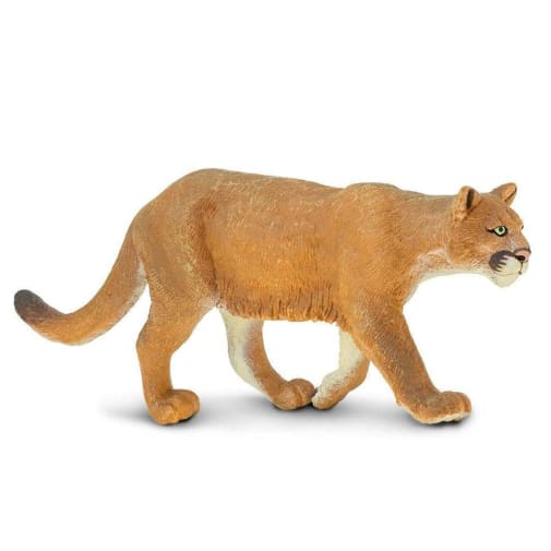 Mountain Lion (North American Wildlife)