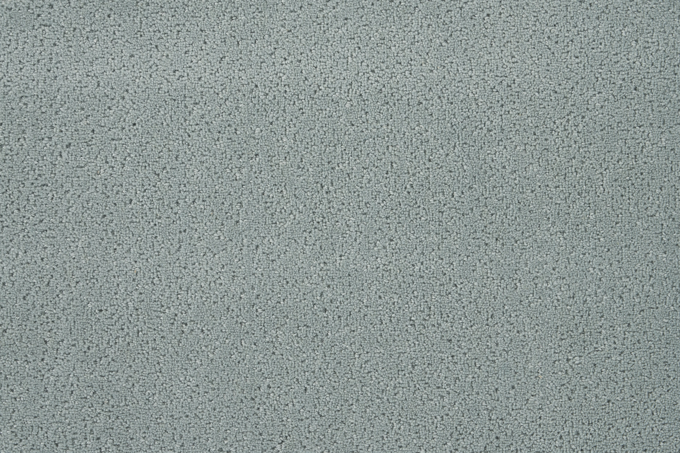 color-rug1