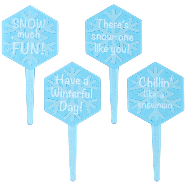 Snow Much Fun! DecoPics®