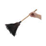 Boardwalk, Professional Ostrich Feather Duster, 10" Handle, Ostrich Feather, Black, 10 in