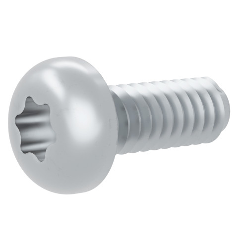 Screw 8-18 Ab Pnt-20 1/2 S