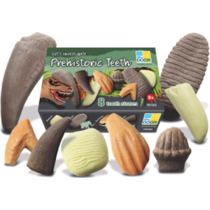 Let's Investigate &ndash; Prehistoric Teeth, Set of 8
