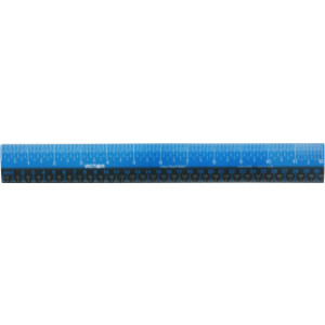 Easy Read&trade; Ruler, Plastic, Blue/Black, 12"