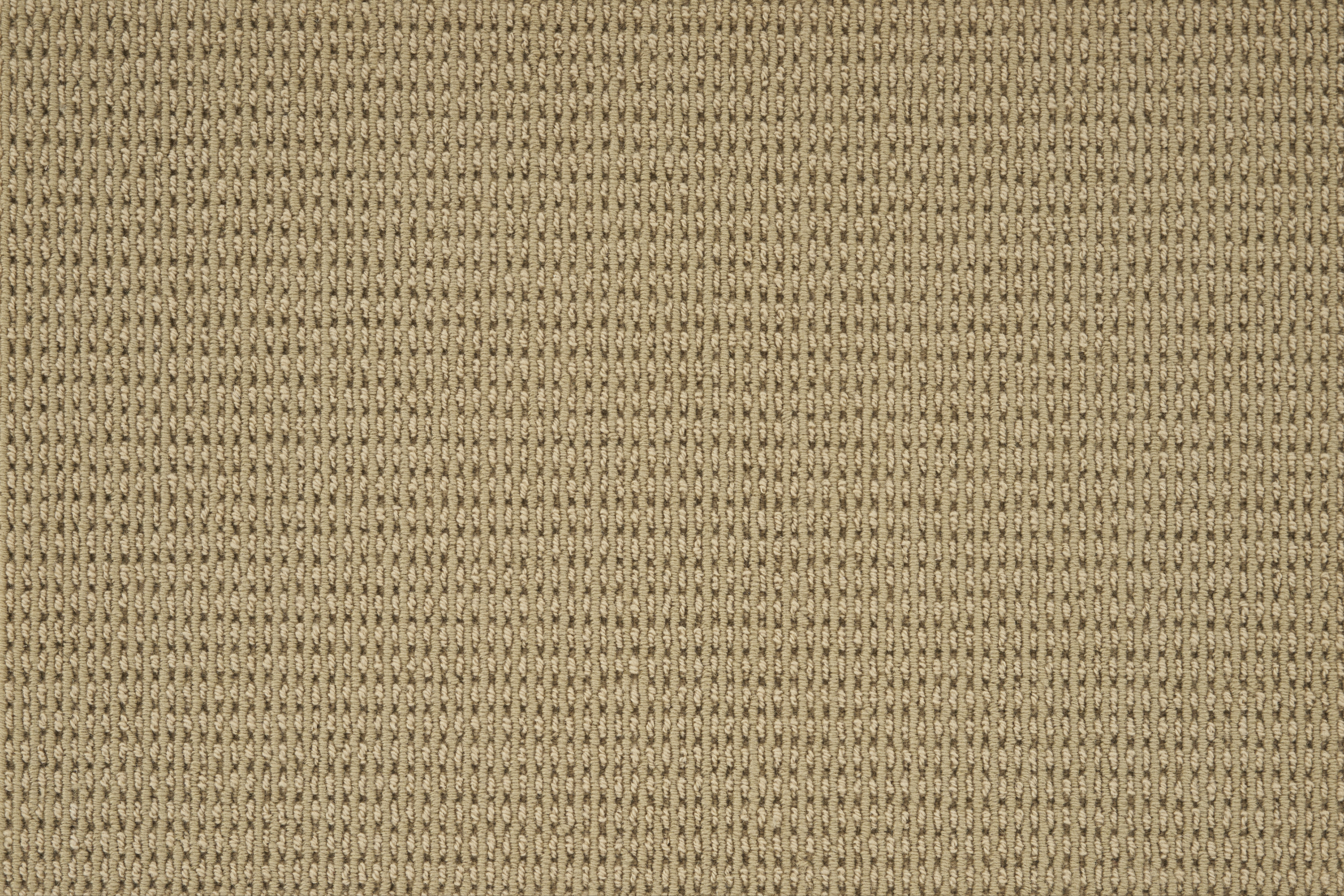 color-rug1