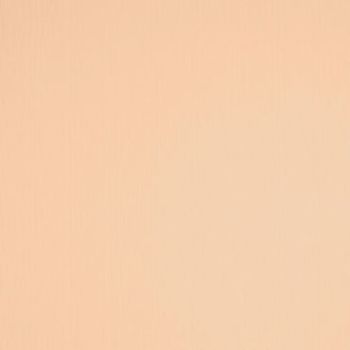 Plain peach-colored rectangular surface with subtle vertical texture, uniformly lit and static, occupying the entire frame; no discernible objects, shadows, or depth, resembling a painted wall or sheet.