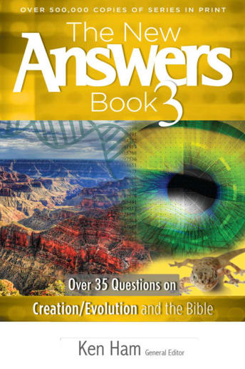 New Answers Book 3