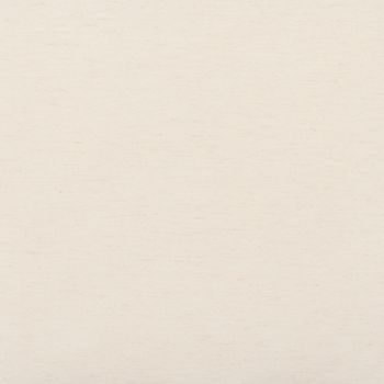 Cream-colored, fine-grain textured paper filling the entire frame; uniformly lit and flat, neutral studio context with no visible objects, edges, or shadows.