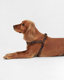 5 Way Adjustable Dog Harness Classic Tartan
